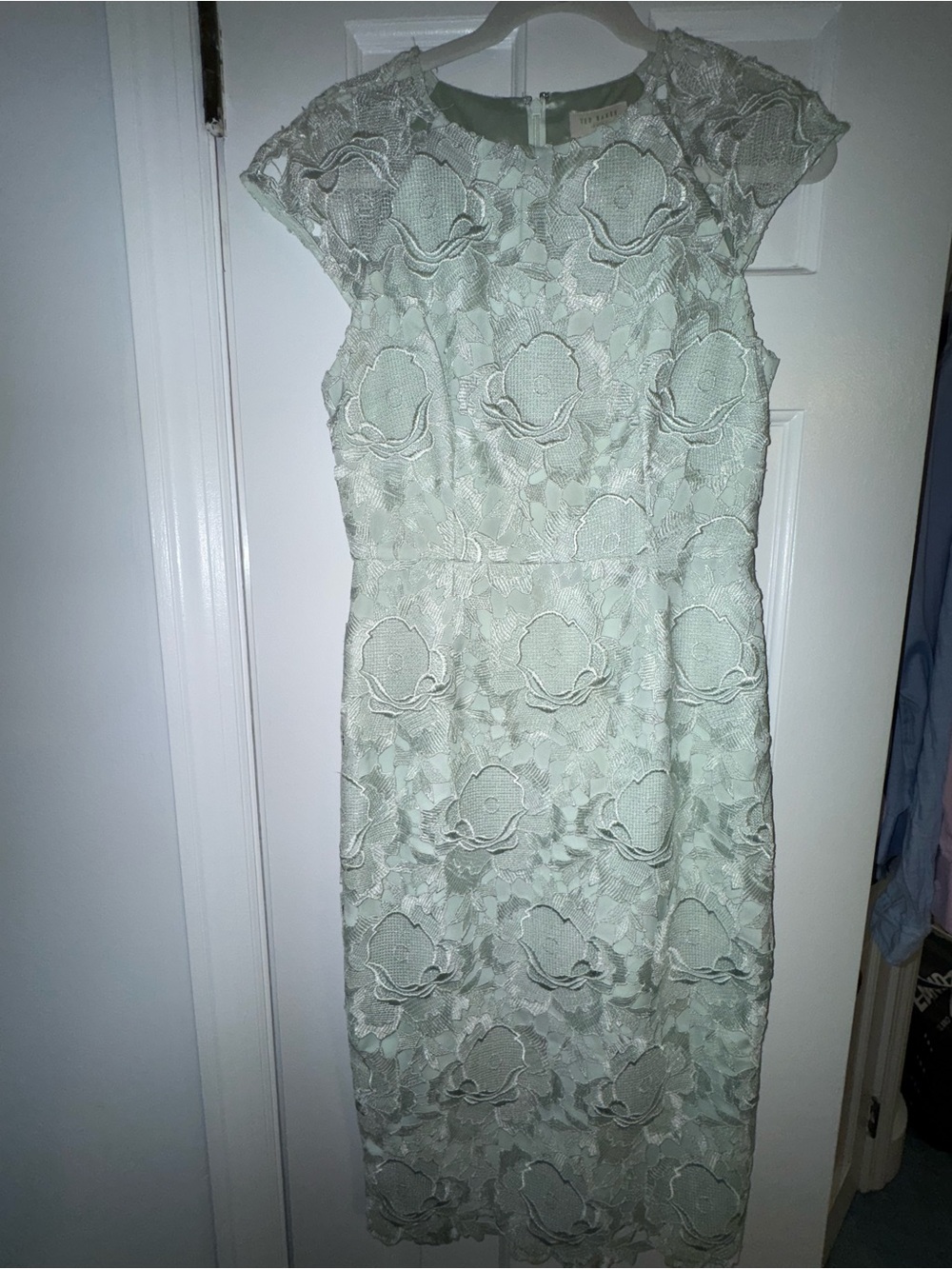 Ted Baker London Mint Green Lace Pencil Dress